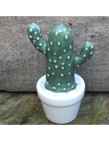 cactus pot N2 D7.2xH10.9 deco