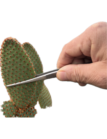 Pince à cactus désherbage et manipulation